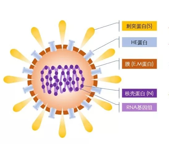 疫情來勢洶洶，如何做好個人防護？這些問題要明白！-