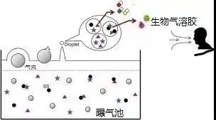 住建部：如何應對新冠病毒從馬桶到水環境的潛在傳輸途徑？-