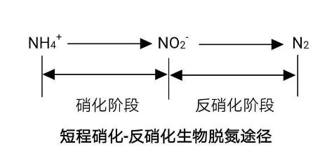 生化法除氨氮的技術匯總！-
